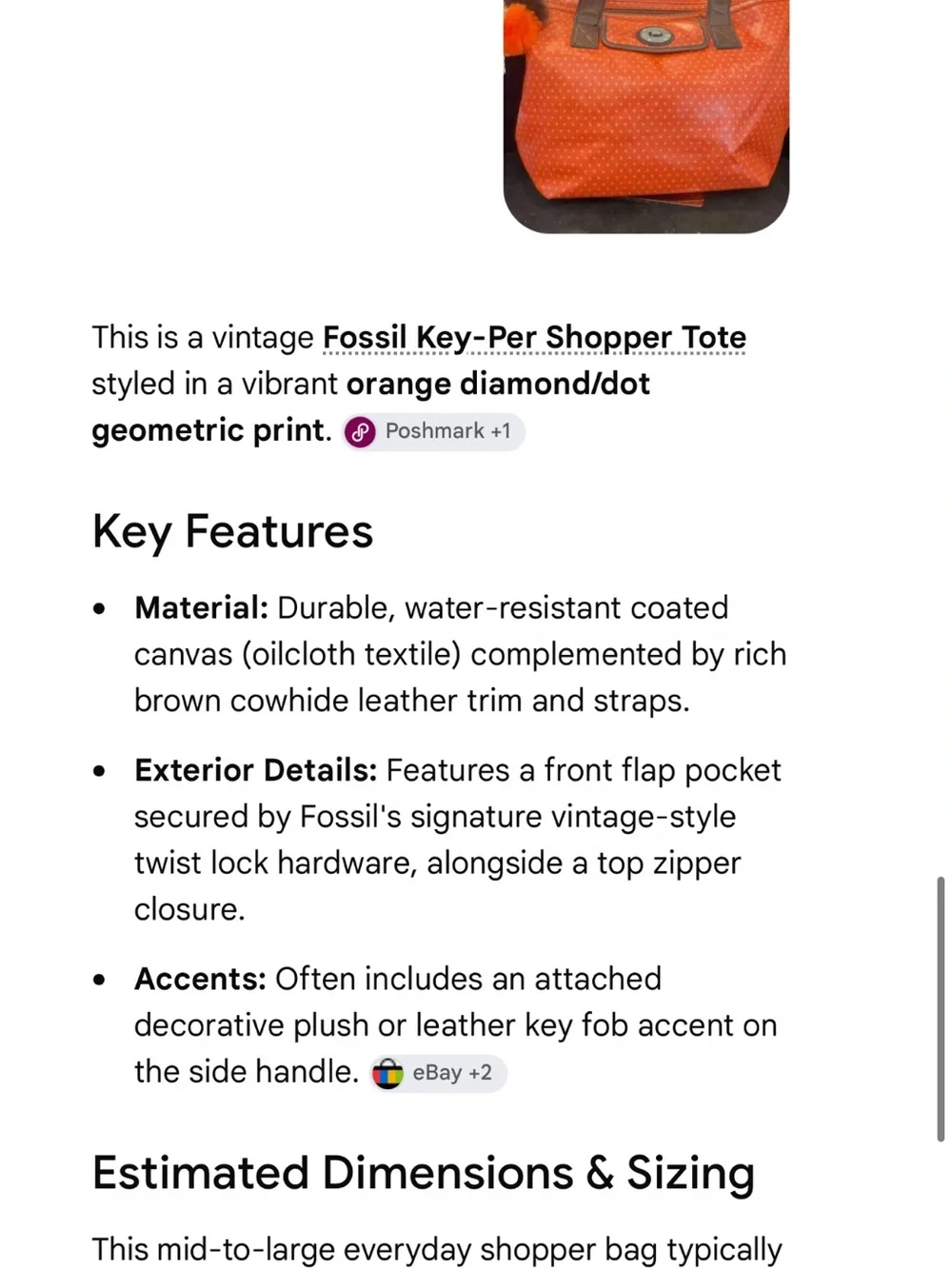 FOSSIL #075 Orange Tote Bag with Brown Handles